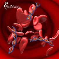 CAR-T Cell Therapy for Blood Cancer in China for Patients Seeking Advanced Cancer Immunotherapy